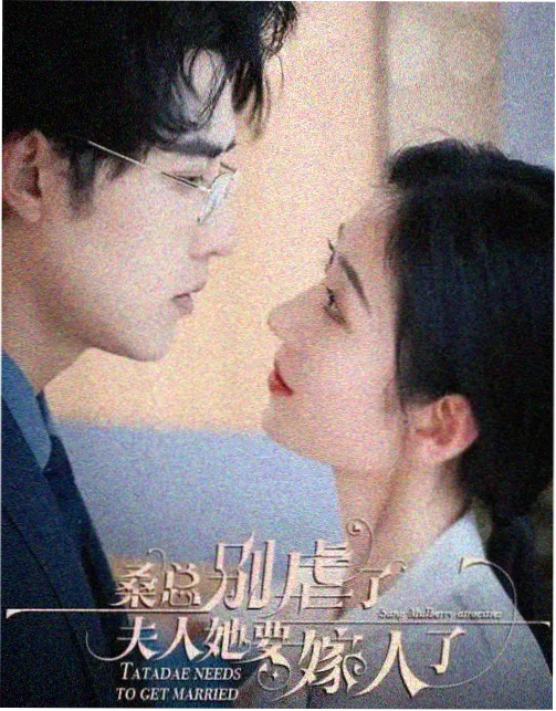 上海滩 1980 老剧集全集观看封面